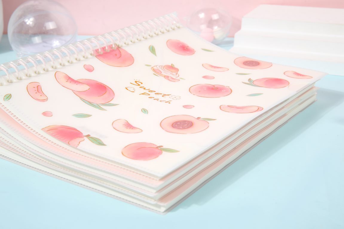Loose leaf shop notebook
